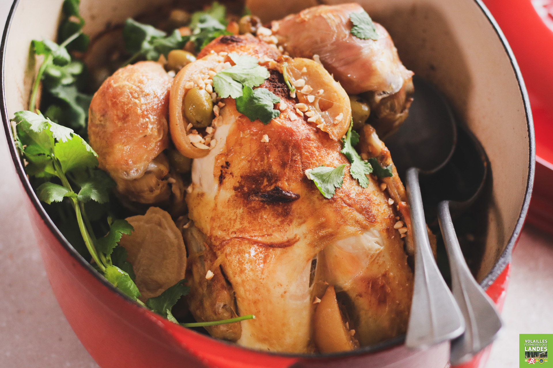 Recette de Poulet au citron confit et olives