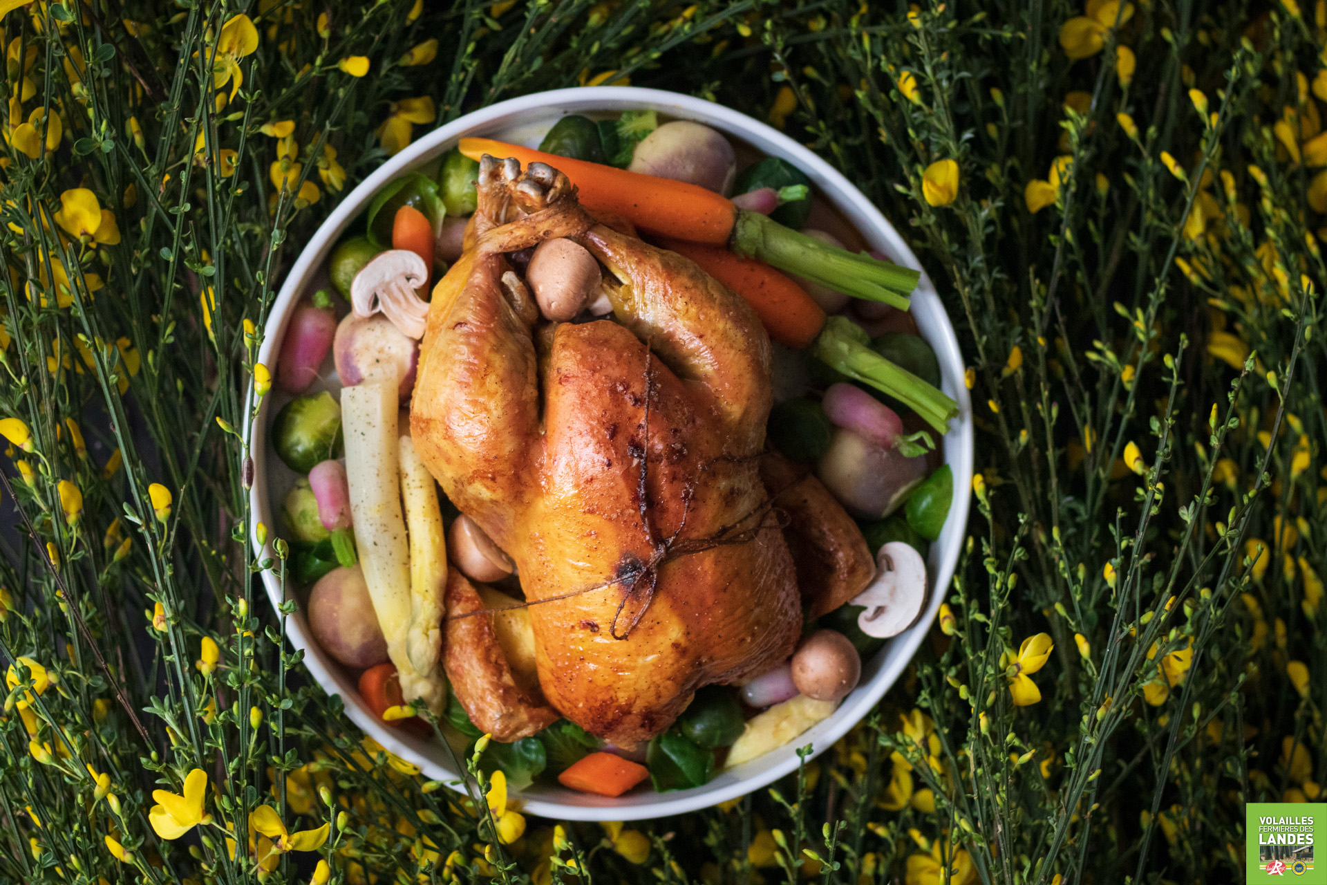 Recette de Poulet Fermier des Landes et ses petits légumes de campagne