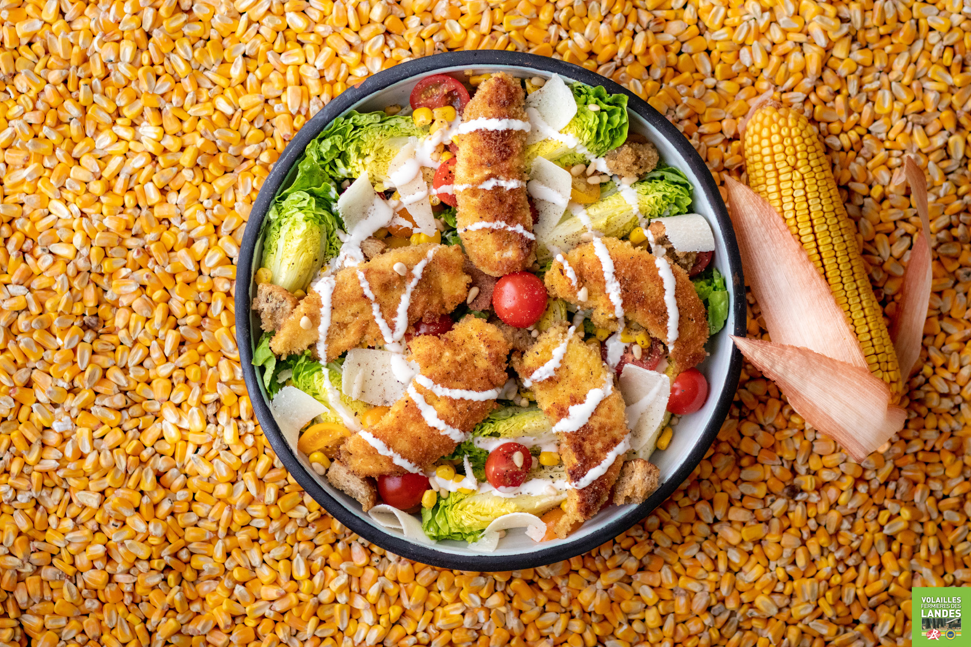 Recette salade César aux aiguillettes de Poulet Fermier des Landes